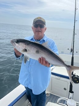 Amberjack Fishing in Destin, Florida