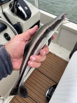 Fishing in Galveston, Texas