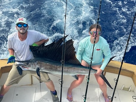 Sailfish Fishing in Islamorada, Florida