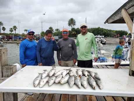 Speckled Trout / Spotted Seatrout Fishing in Galveston, Texas