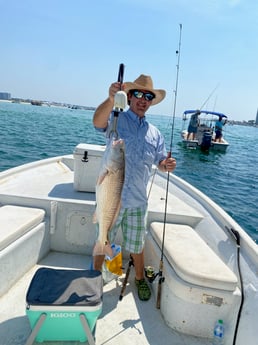 Redfish fishing in Orange Beach, Alabama