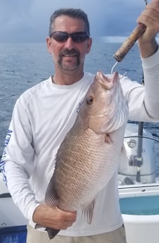 Mangrove Snapper fishing in Destin, Florida