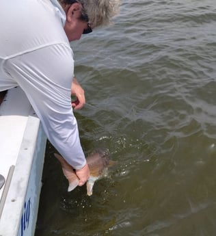 Redfish Fishing in Freeport, Florida