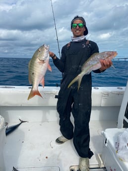 Mutton Snapper, Yellowtail Snapper fishing in Key West, Florida