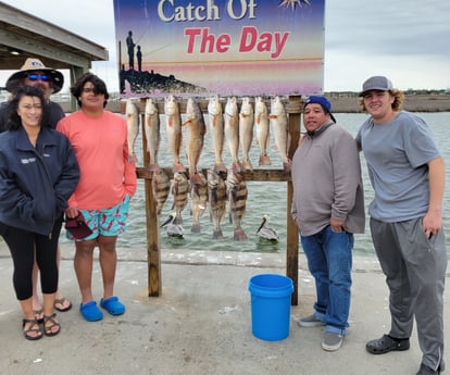 Black Drum, Redfish, Sheepshead fishing in Rockport, Texas