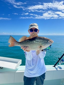 Red Grouper Fishing in Key Largo, Florida