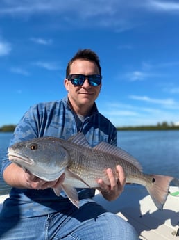 Redfish Fishing in Sarasota, Florida