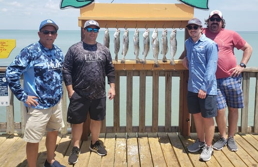 Speckled Trout / Spotted Seatrout fishing in Port Isabel, Texas