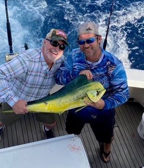 Mahi Mahi / Dorado Fishing in Pompano Beach, Florida