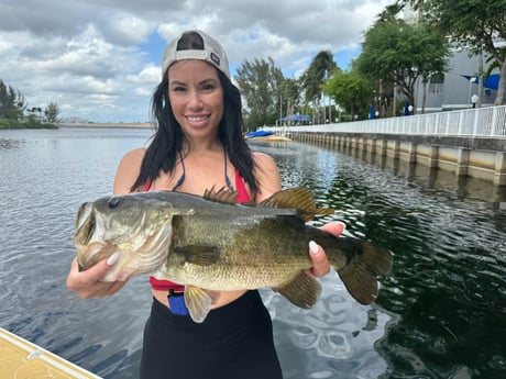 Fishing in Miami, Florida