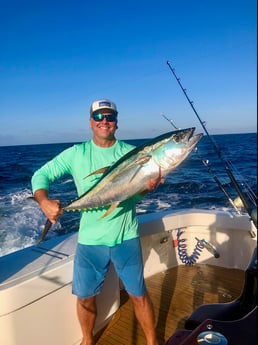 Yellowfin Tuna fishing in Galveston, Texas