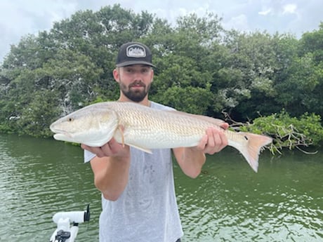 Redfish fishing in Clearwater, Florida