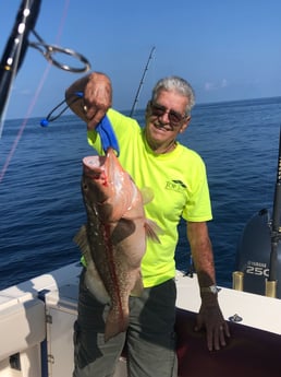 Red Grouper fishing in Madeira Beach, Florida