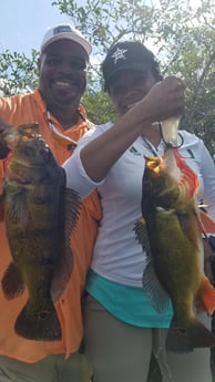 Peacock Bass Fishing in Fort Lauderdale, Florida