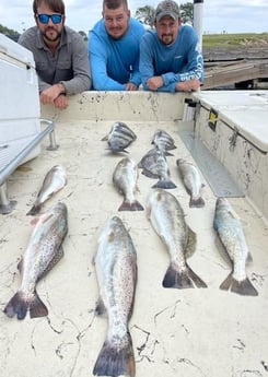 Black Drum, Speckled Trout / Spotted Seatrout Fishing in Galveston, Texas