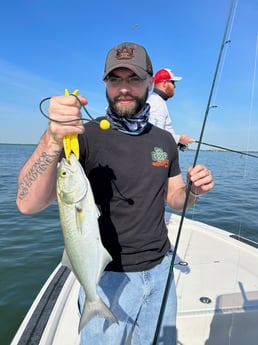 Bluefish Fishing in Clearwater, Florida