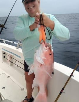 Red Snapper fishing in Clearwater, Florida