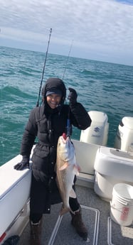 Redfish Fishing in Galveston, Texas