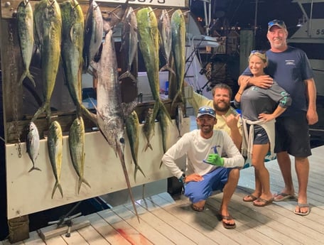 Little Tunny / False Albacore, Mahi Mahi / Dorado, Swordfish fishing in Destin, Florida