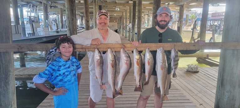 Black Drum, Redfish fishing in Port O&#039;Connor, Texas