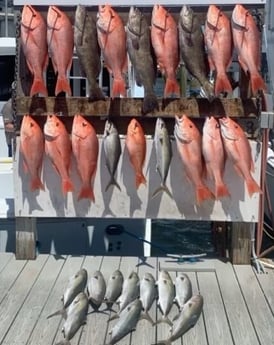 Amberjack, Gag Grouper, Red Snapper fishing in Destin, Florida