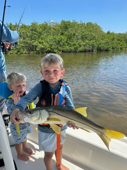 Snook Fishing in Sarasota, Florida