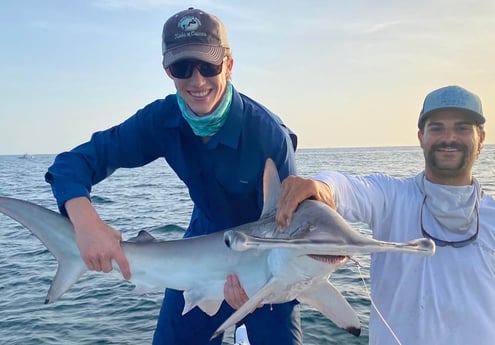 Hammerhead Shark fishing in New Smyrna Beach, Florida