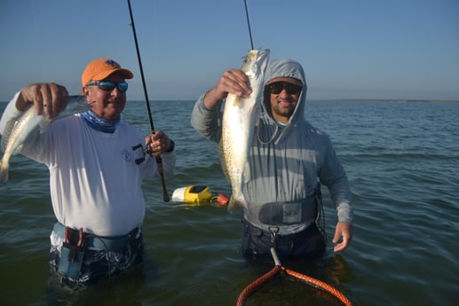 Speckled Trout / Spotted Seatrout fishing in Corpus Christi, Texas