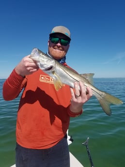 Snook fishing in Islamorada, Florida