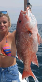 Red Snapper Fishing in Clearwater, Florida