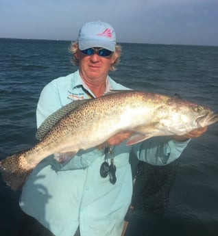 Speckled Trout Fishing in South Padre Island, Texas