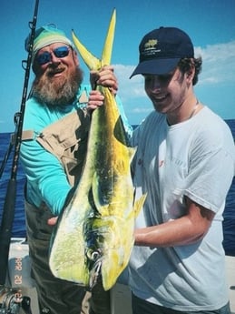 Mahi Mahi Fishing in Key West, Florida