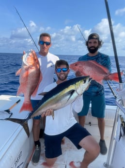 Blackfin Tuna, Red Snapper fishing in Sarasota, Florida