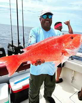 Red Snapper Fishing in Madeira Beach, Florida