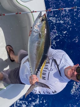 Sailfish fishing in Fort Lauderdale, Florida