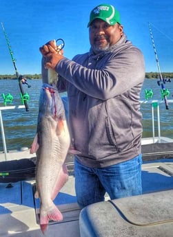 Blue Catfish fishing in Dallas, Texas