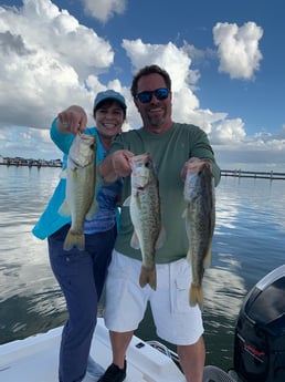 Largemouth Bass fishing in Clearwater, Florida