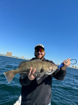 Fishing in Panama City, Florida