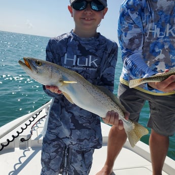 Snook fishing in Islamorada, Florida