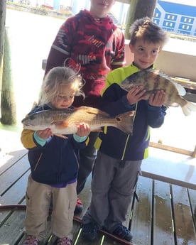 Redfish, Sheepshead fishing in Freeport, Texas