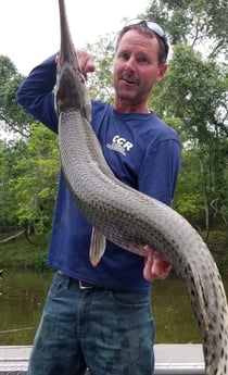 Alligator Gar fishing in Livingston, Texas