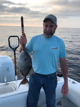 Triggerfish Fishing in Destin, Florida