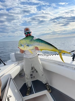 Mahi Mahi Fishing in Destin, Florida