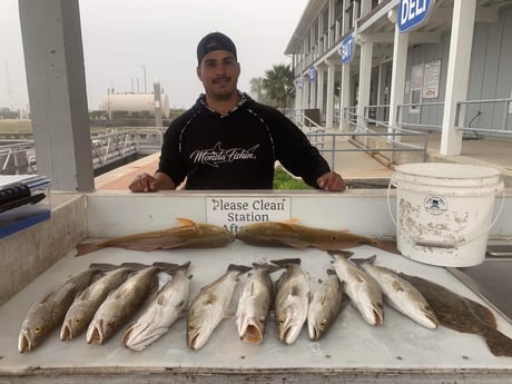 Flounder, Redfish, Speckled Trout / Spotted Seatrout fishing in Galveston, Texas