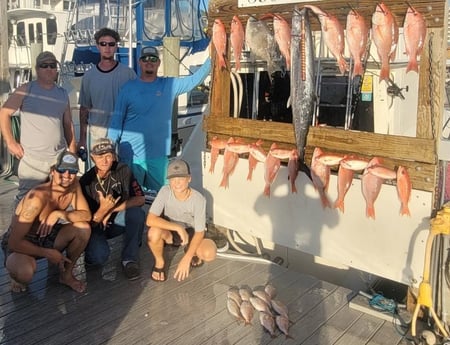 King Mackerel / Kingfish, Red Snapper, Triggerfish Fishing in Destin, Florida