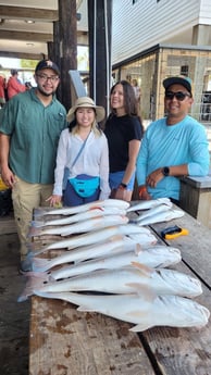 Redfish, Speckled Trout / Spotted Seatrout fishing in Galveston, Texas