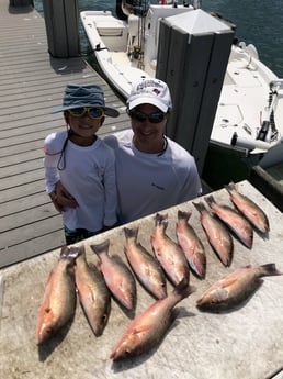 Mangrove Snapper fishing in Sarasota, Florida