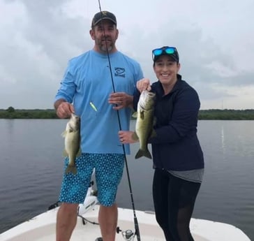 Largemouth Bass Fishing in Crystal River, Florida