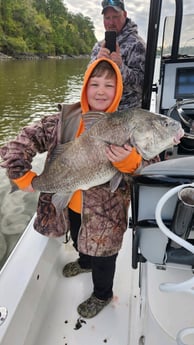 Black Drum Fishing in Gulf Shores, Alabama