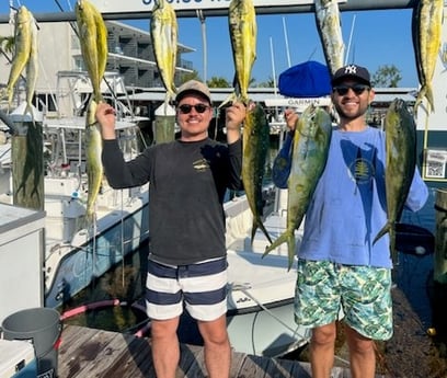 Mahi Mahi Fishing in Islamorada, Florida